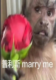 中午吃了牛肉蒸饭热量